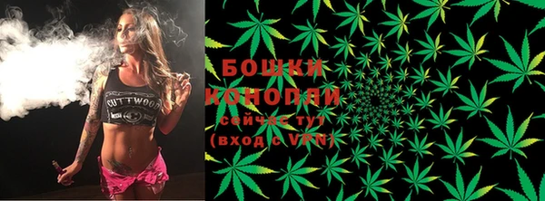 спиды Аркадак