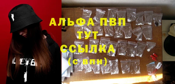 спиды Аркадак