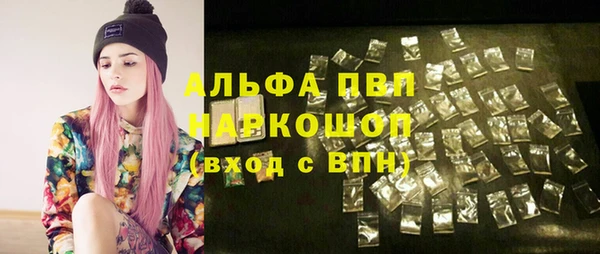 спиды Аркадак