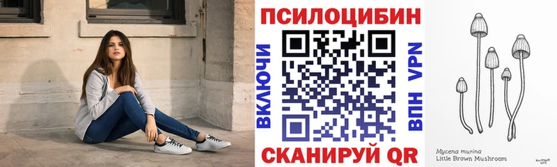 Псилоцибиновые грибы мухоморы цены наркотик Райчихинск